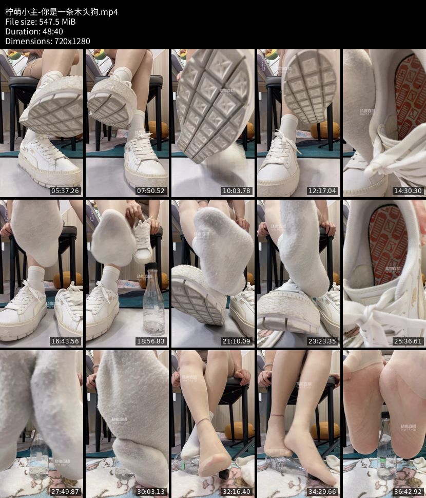 柠萌小主 - 你是一条木头狗