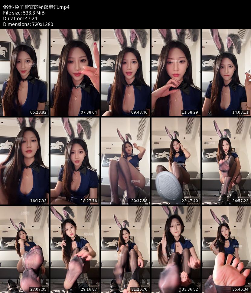 粥粥 - 兔子警官的秘密审讯