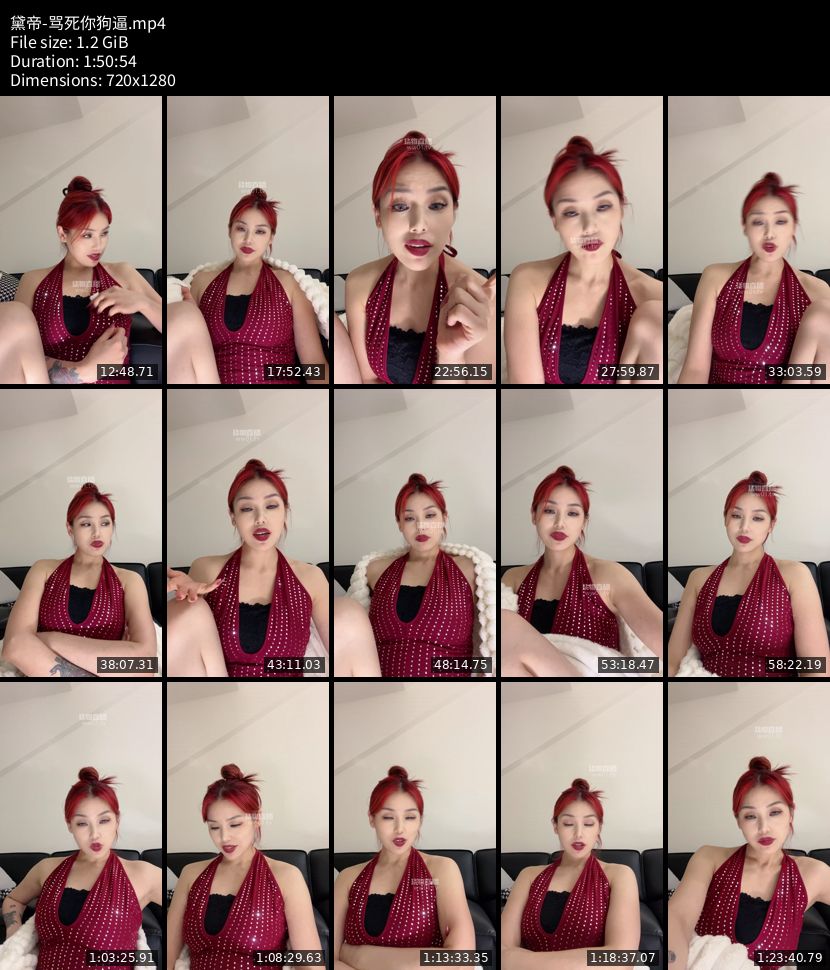 黛帝 - 骂死你狗逼