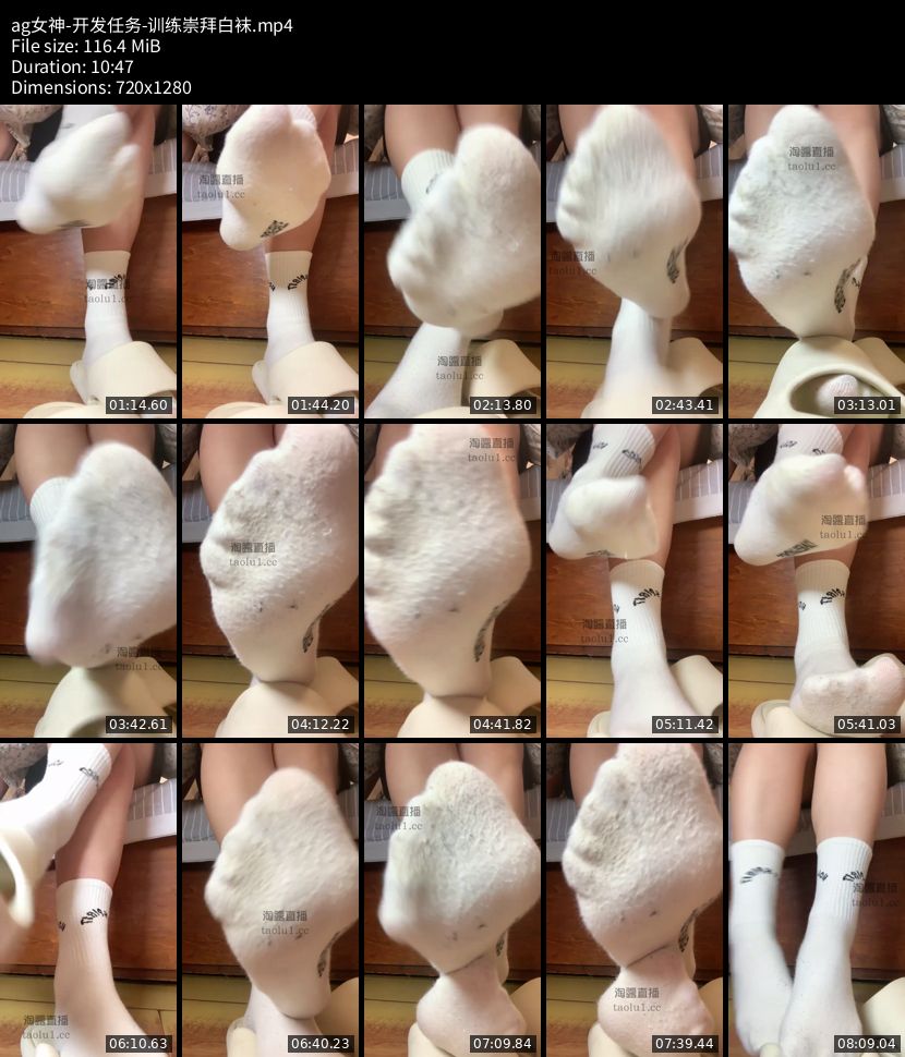 Ag女神 - 开发任务