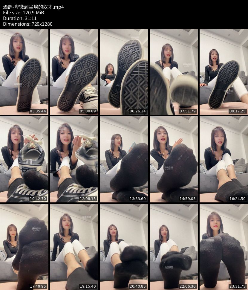 酒鸽 - 卑微到尘埃的奴才