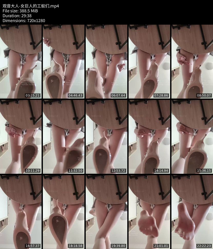 观音大人 - 女巨人的工蚁们