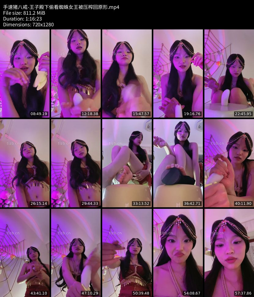 手速猪八戒 - 王子殿下偷看蜘蛛女王被压榨回原形