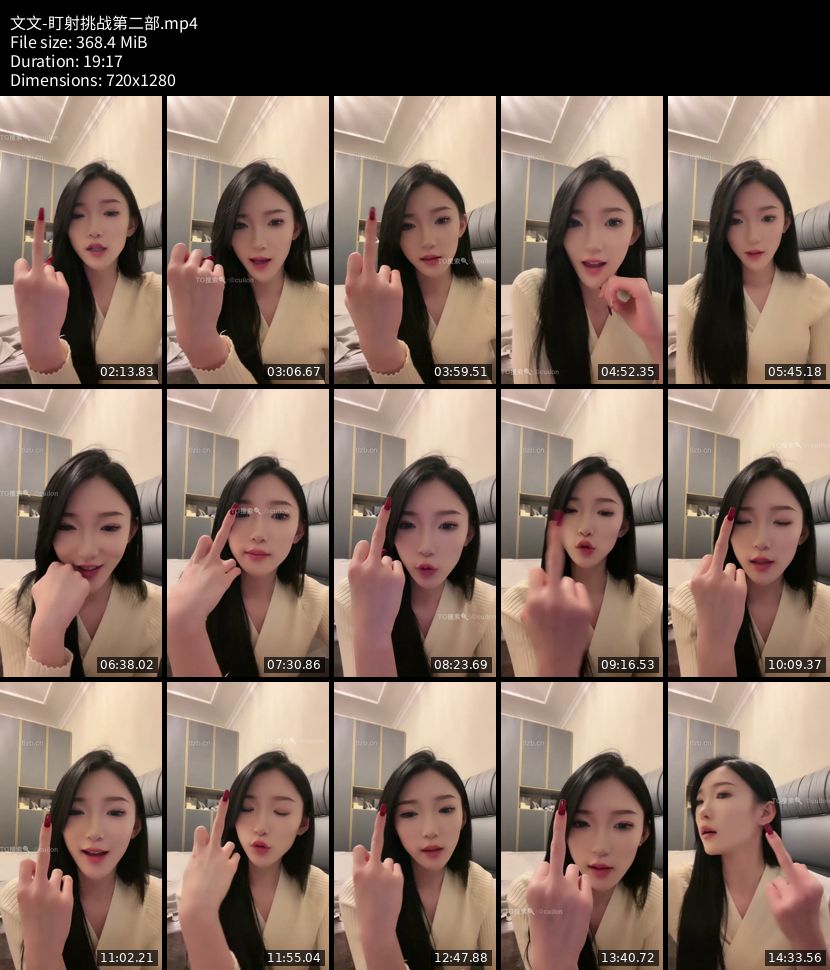 文文 - 盯射挑战第二部