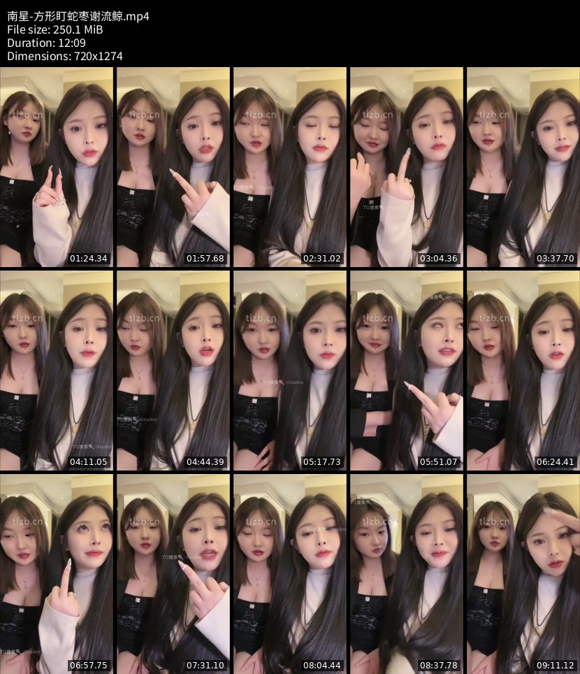 南星 - 方形盯蛇枣谢流鲸