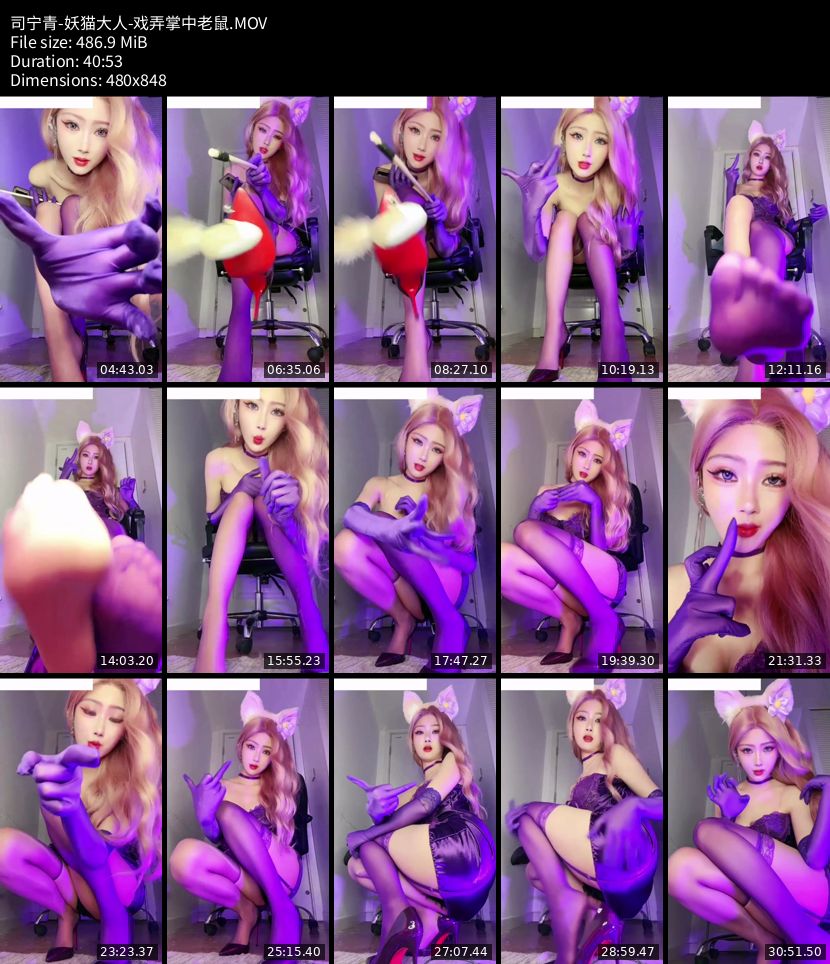 司宁青 - 妖猫大人，戏弄掌中老鼠
