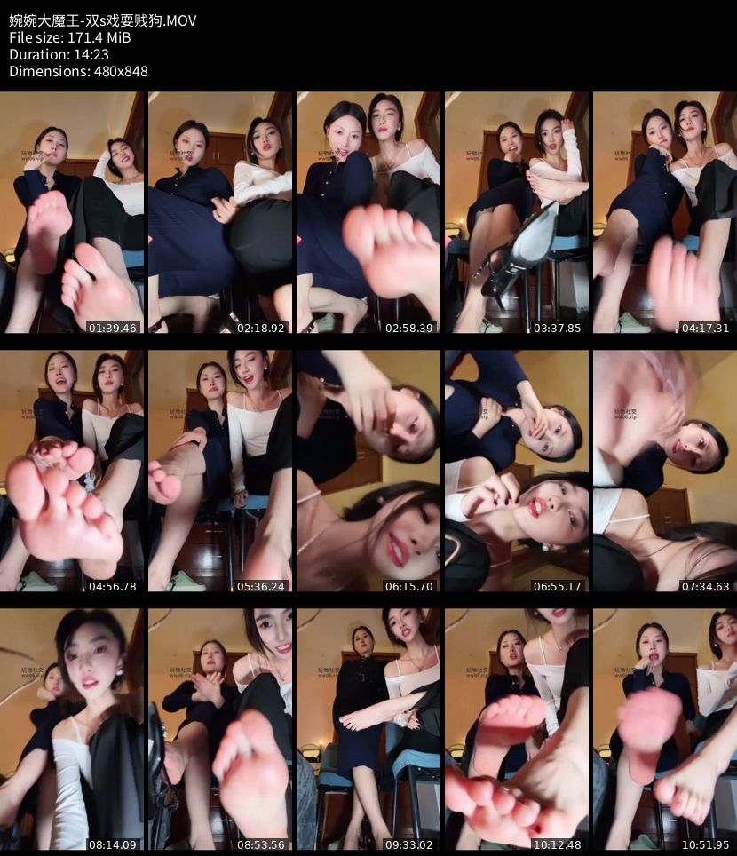 婉婉大魔王 - 双s戏耍贱狗