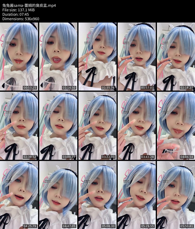 兔兔酱sama - 蕾姆的臭痰盂