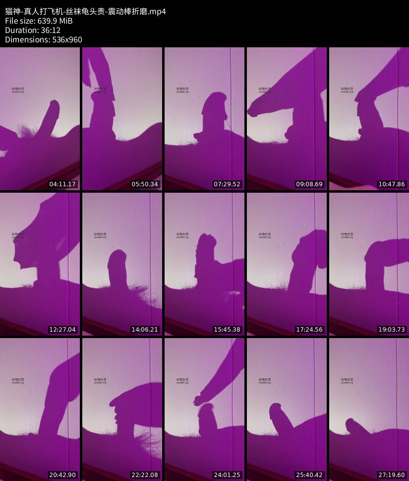 猫神 - 真人打飞机+丝袜龟头责+震动棒折磨